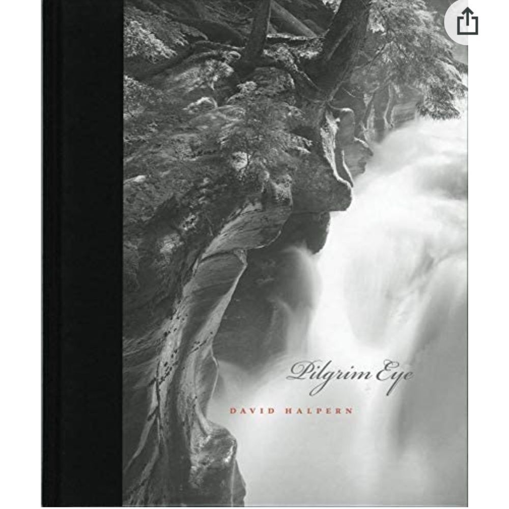 Autographed Pilgrim Eye by David Halpern Hardback Edition